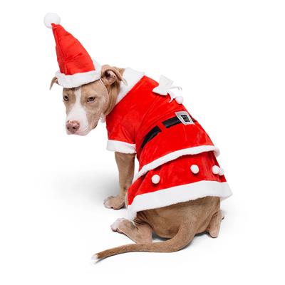 Santa-Paws Dog Dress Holiday Costume Set