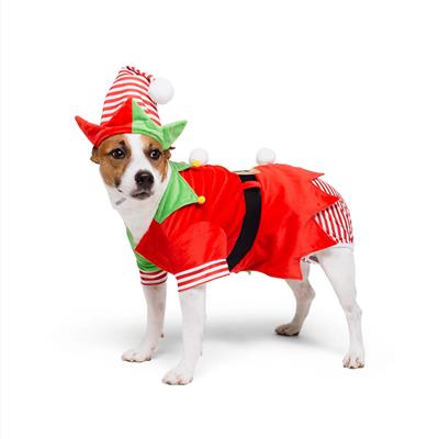 Santa’s Cutest Elf Dog Holiday Costume Set