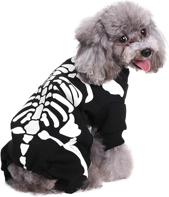 Skeleton Halloween Dog Costume