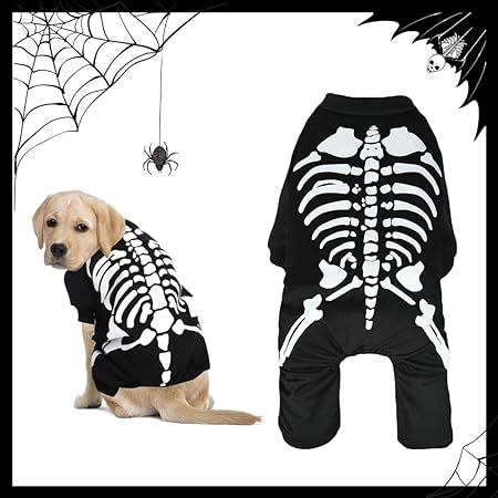 Skeleton Halloween Dog Costume