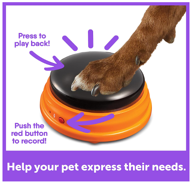 Hunger for Words Talking Pet Starter Set - 4 Piece Set