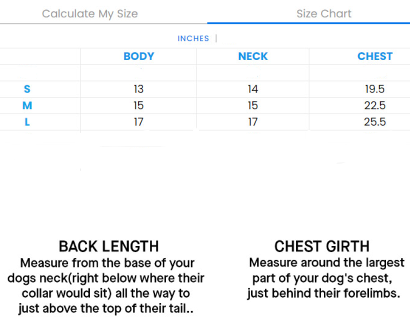 Santa’s Cutest Elf Dog Holiday Costume Set