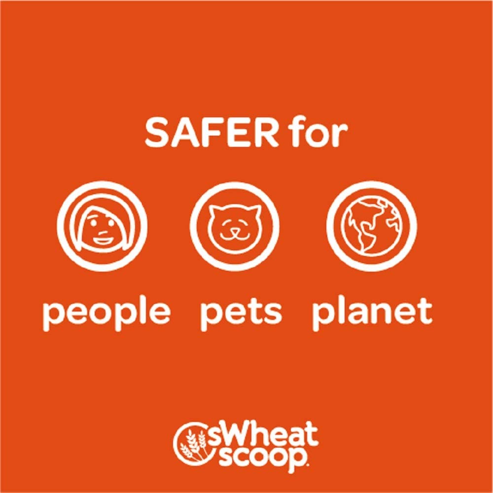 sWHEAT SCOOP Wheat-Based Natural Cat Litter - 12lb