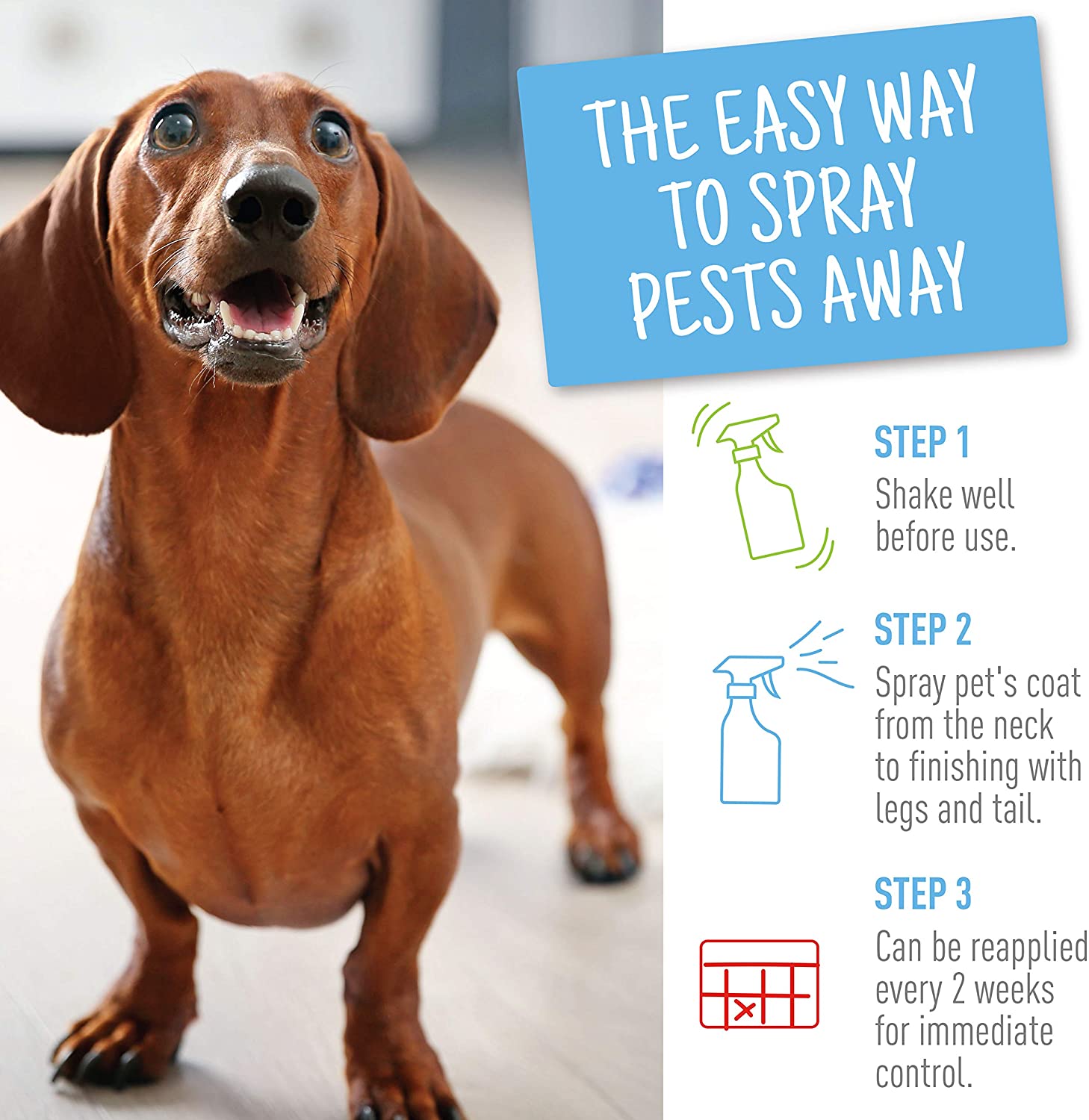 ADAMS Flea & Tick Spray - 16oz