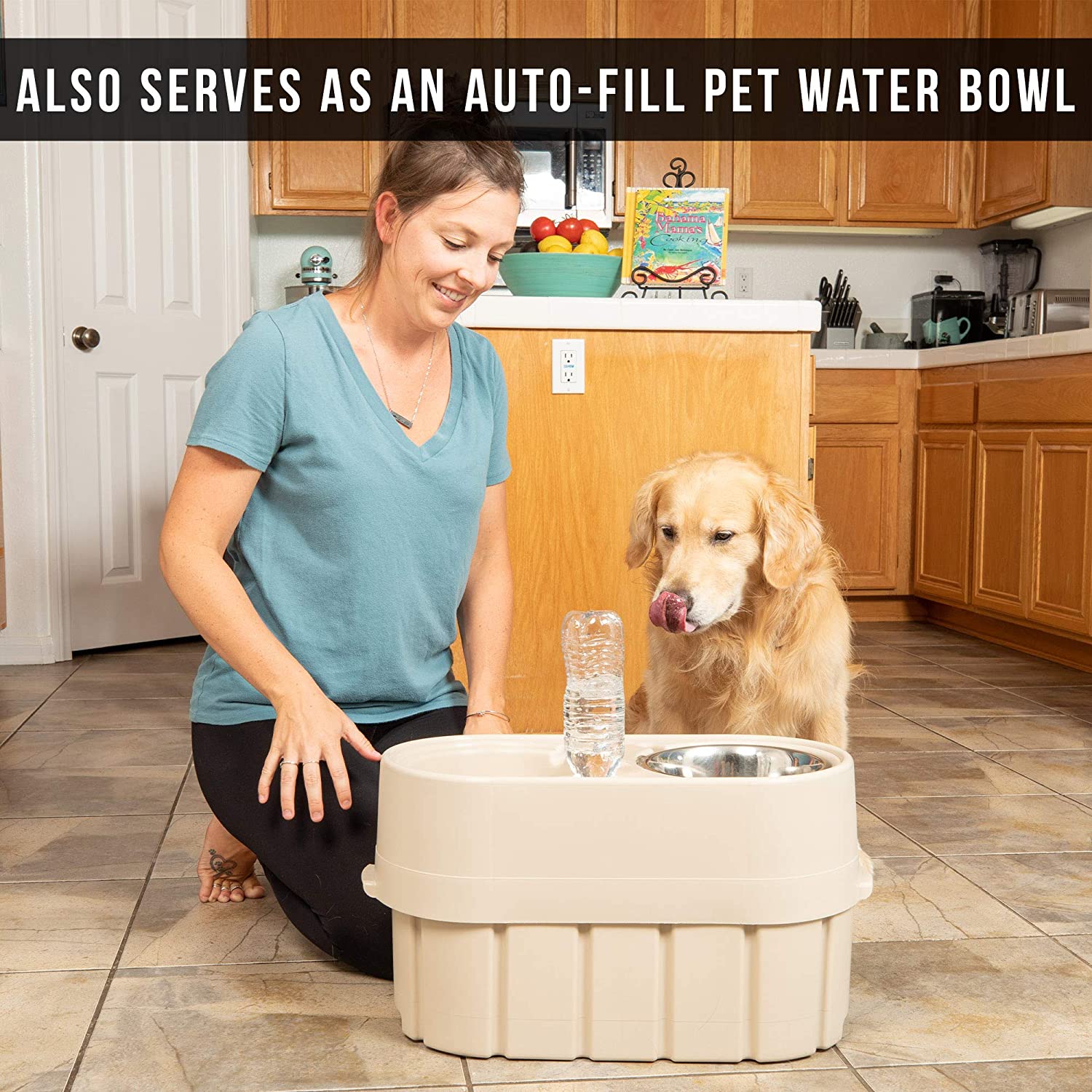Store-N-Feed Elevated Dog Bowl