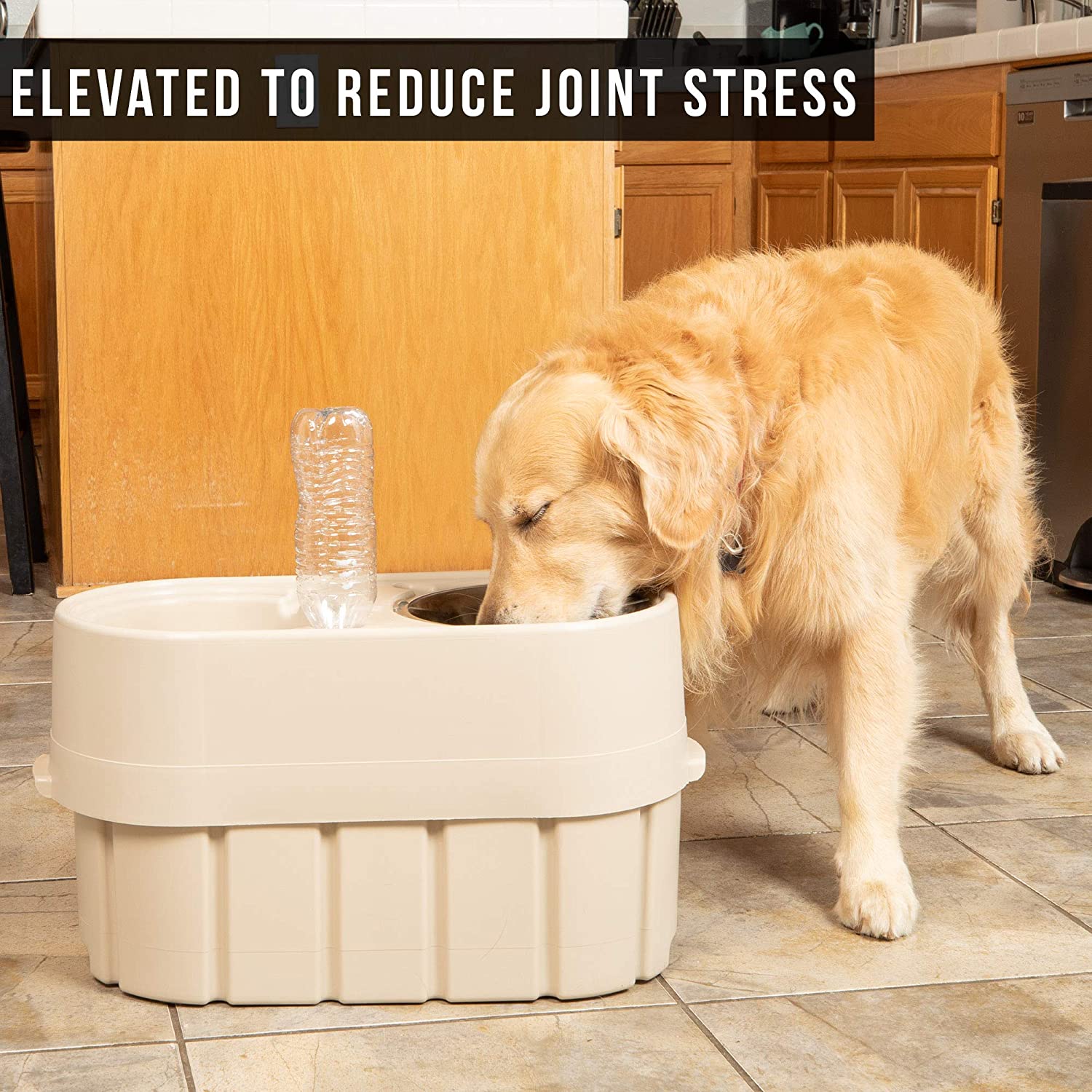 Store-N-Feed Elevated Dog Bowl