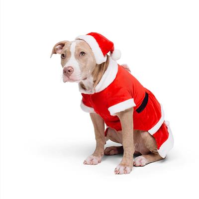 Santa-Paws Dog Dress Holiday Costume Set