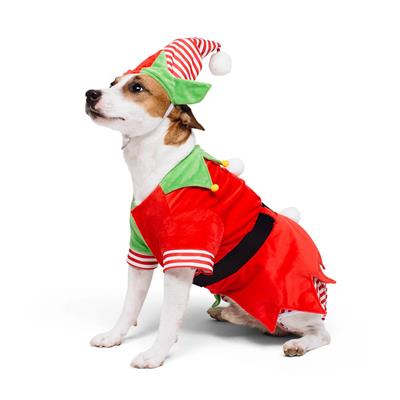 Santa’s Cutest Elf Dog Holiday Costume Set