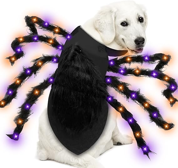 LED Spider Halloween Dog Costume