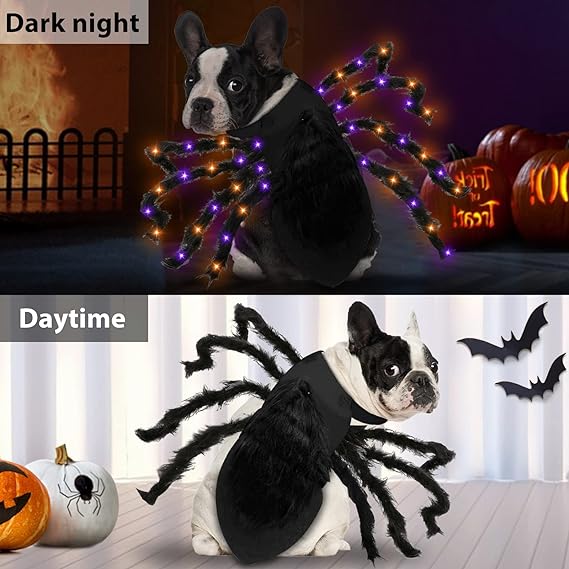 LED Spider Halloween Dog Costume