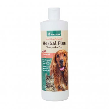 Naturvet Herbal Flea With Essential Oils Cat and Dog Shampoo - 16 Oz