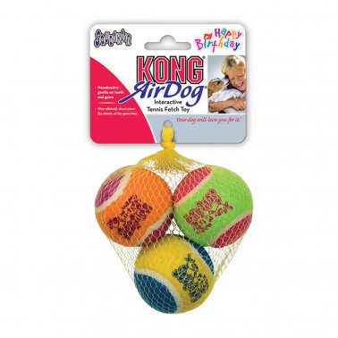 Kong Birthday Balls Dog Toy, Assorted - Medium