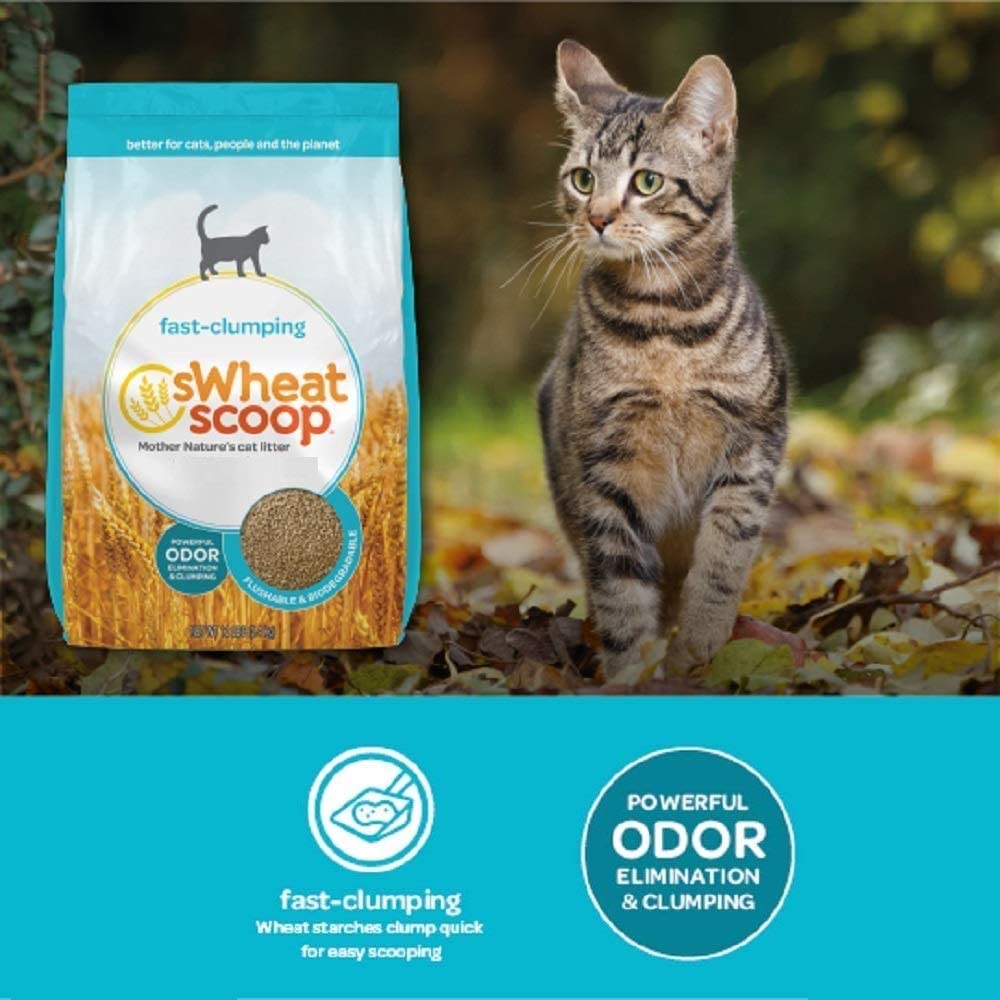 sWHEAT SCOOP Wheat-Based Natural Cat Litter - 12lb