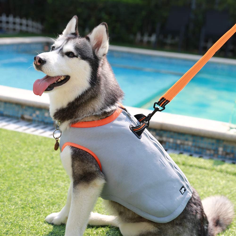 TrueLove Dog Cooling Vest