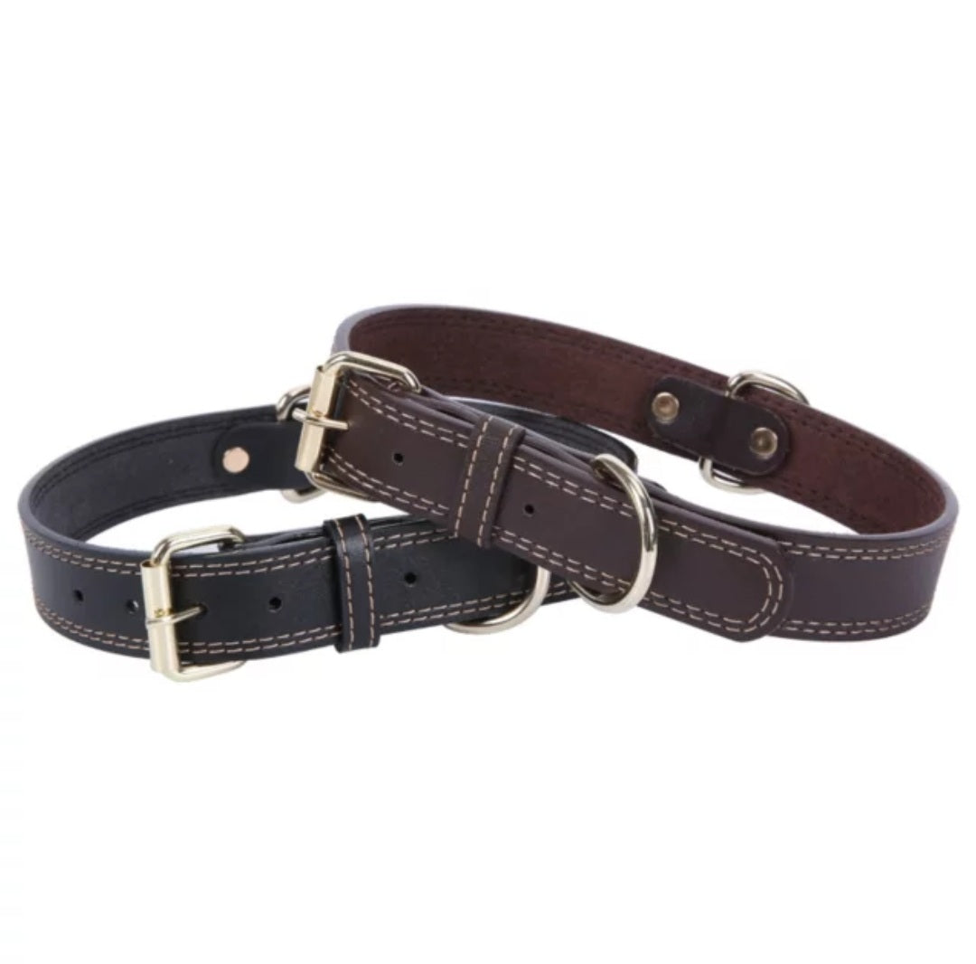 Leather collar with gold buckle