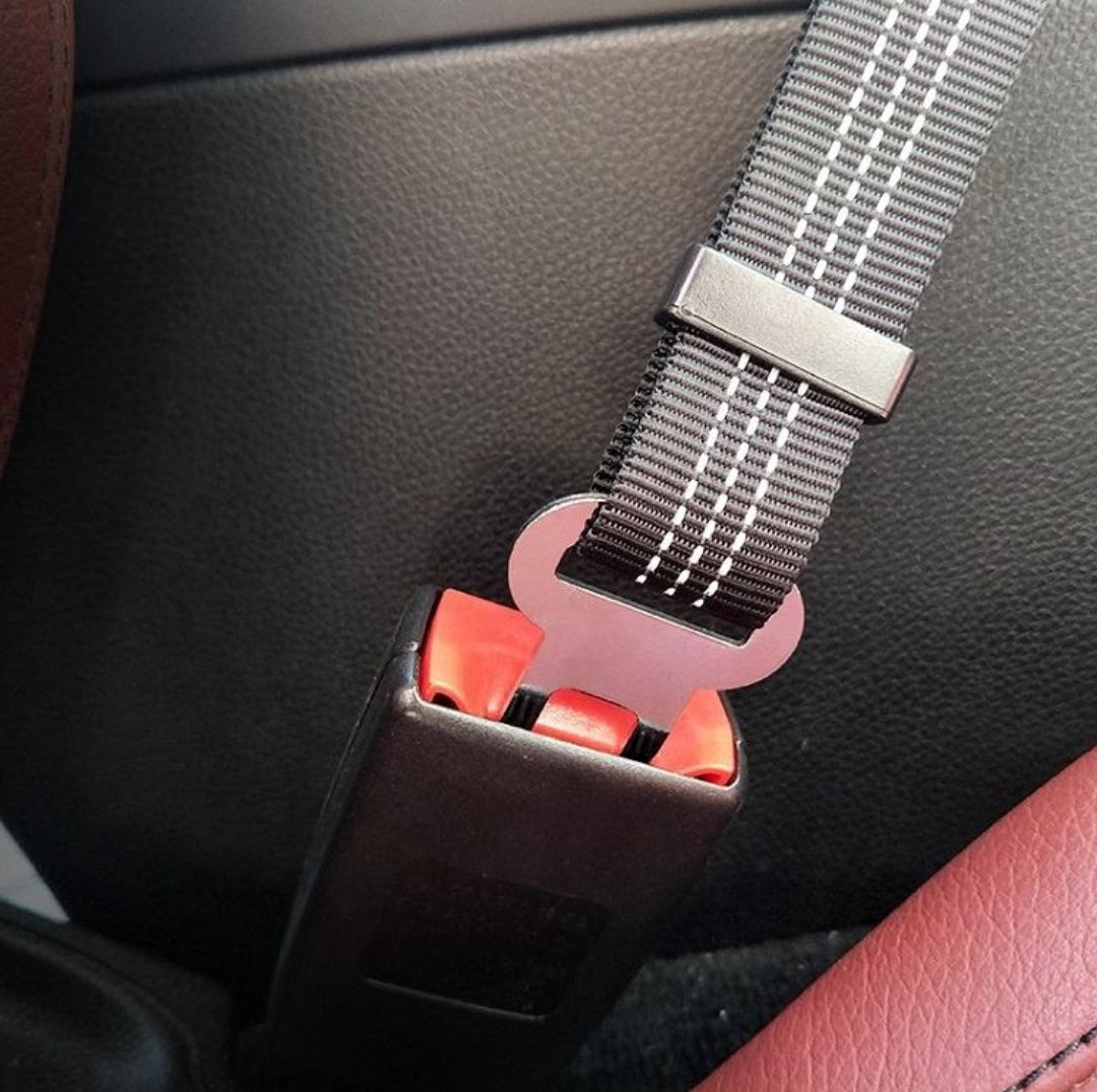 Adjustable Reflective Elastic Nylon Bungee dog car seat safety belt and Leash
